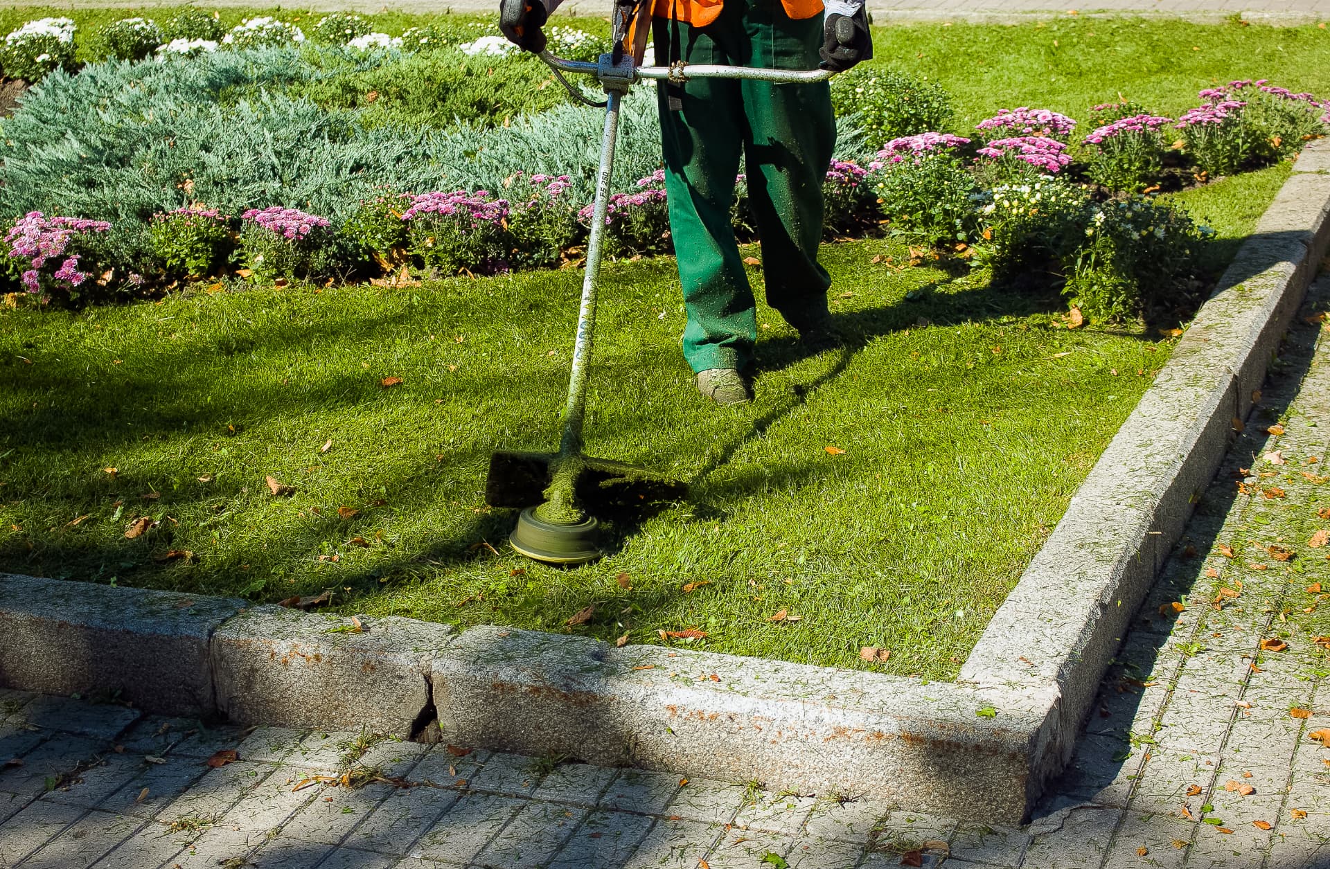 Landscaper string trimming a manicured lawn edge along flower beds